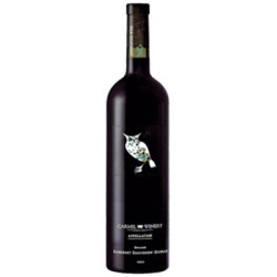 UPPER GALILEE CABERNET SAUVIGNON SHIRAZ
