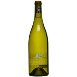 Wino Chardonnay Upper Galilee Carmel