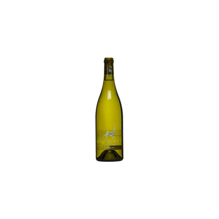 Wino Chardonnay Upper Galilee Carmel Wino Chardonnay Upper Galilee Carmel