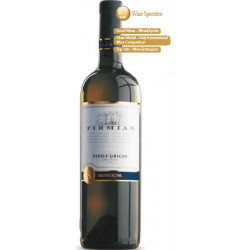 Castel Firmian Pinot Grigio Mezzacorona Trentino DOC