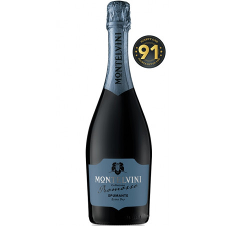 Montelvini Promosso Spumante Collezione Extra Dry