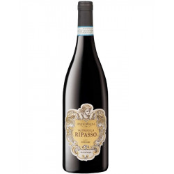 Antica Vigna Valpolicella Ripasso DOC Superiore