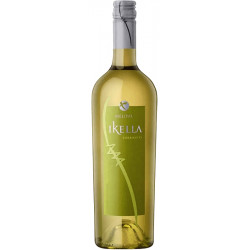 Torrontes Ikella Mendoza Agrelo