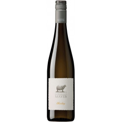 Landhaus Mayer Riesling