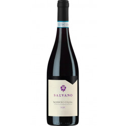 Salvano Nebbiolo Langhe