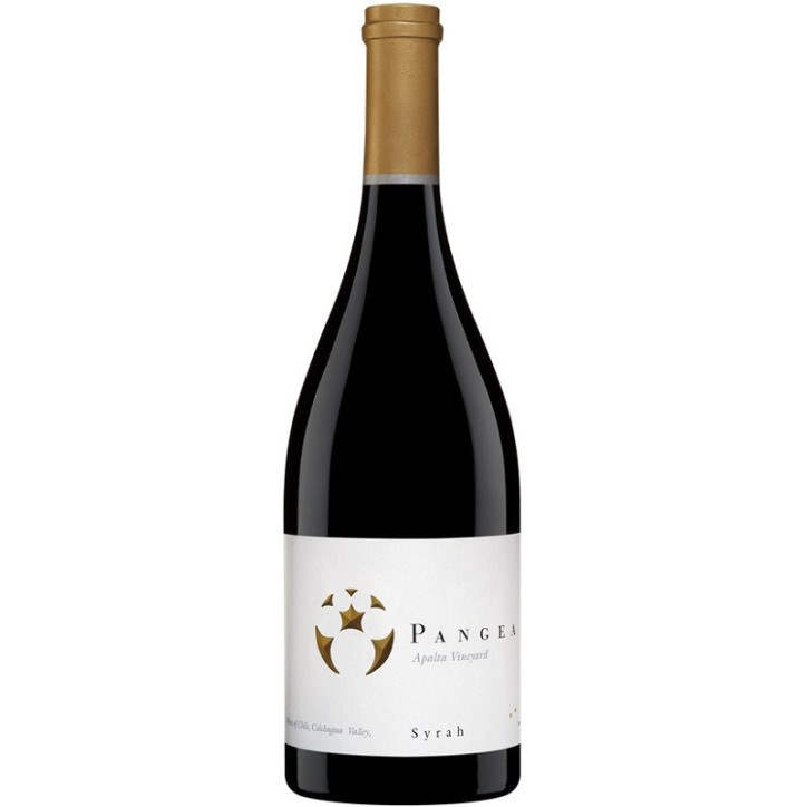 Pangea Syrah Colchagua Valley