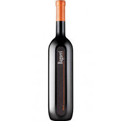 Bagueri Merlot Brda