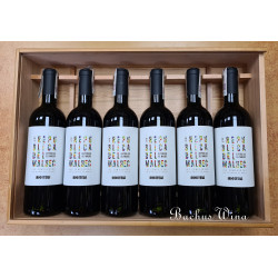 Matias Riccitelli Republica del Malbec