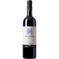 Santa Sofia Merlot Corvina