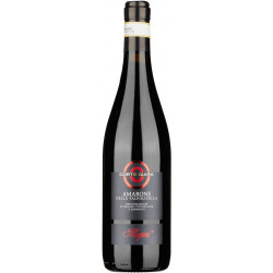 Allegrini Amarone Della Valpolicella Corte Giara