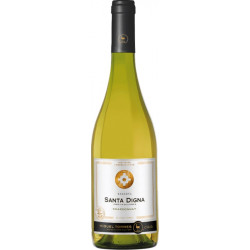 Miguel Torres Santa Digna Chardonnay Reserva