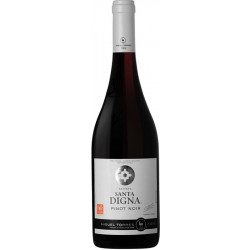 Torres Santa Digna Pinot Noir Reserva