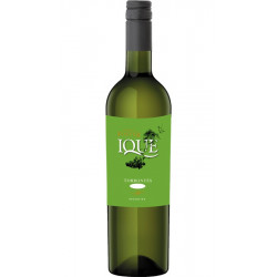 Foster IQUE Torrontes Mendoza