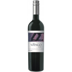 Lo Tengo Malbec Bodega Norton