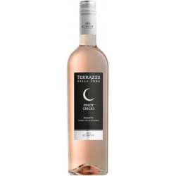 Cavit Terrazze della Luna Rosato Pinot Grigio Trentino DOC