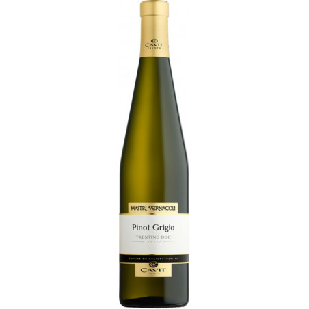 Cavit Mastri Vernacoli Pinot Grigio Trentino DOC