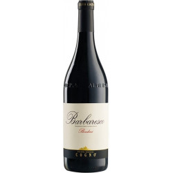 Cogno Barbaresco Bordini Nebbiolo