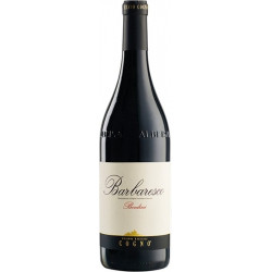 Cogno Barbaresco Bordini Nebbiolo