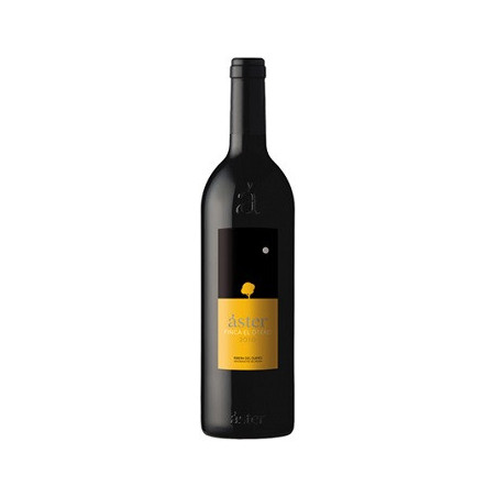 Bodegas Áster DO