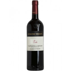 Domini Veneti Valpolicella Ripasso Classico Superiore