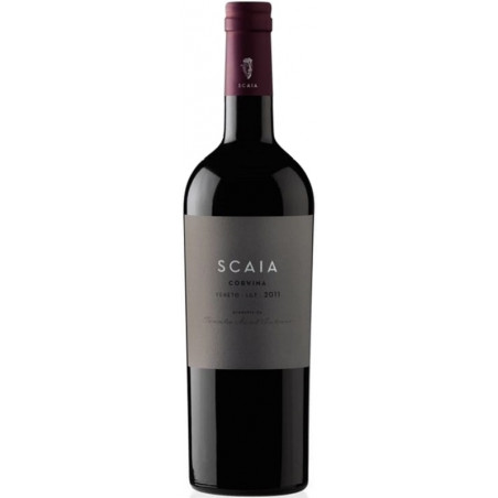 Sant Antonio Scaia Corvina Veneto IGT