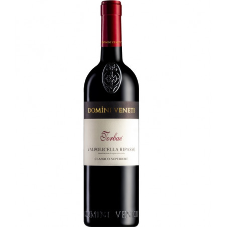 Domini Veneti Valpolicella Ripasso Classico Superiore
