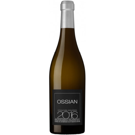 Ossian Verdejo