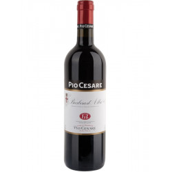 Pio Cesare Barbera dAlba DOC