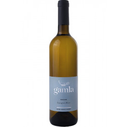 Gamla Sauvignon Blanc Galille