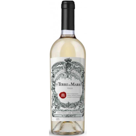 Terre di Mario Vino Bianco