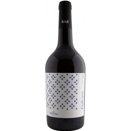 Bodegas Murviedro Galeam Monastrell Organic Wine