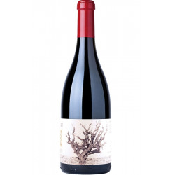 Recanati Wild Carignan Reserve Galilea