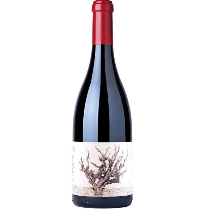 Recanati Wild Carignan Reserve Galilea Recanati Wild Carignan Reserve Galilea