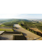 Wagram Wina Austriackie - Regiony Winiarskie - Sklep z Winem Bachus