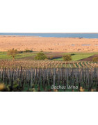 Burgenland Wina Austiackie - Regiony Winiarskie - Sklep z Winem Bachus
