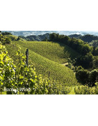 Steiermark (Styria) Austria - Regiony Winiarskie - Sklep z Winem Bachus
