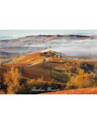 Langhe w Piemoncie - Regiony Winiarskie - Sklep z Winem Bachus