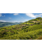 Soave - Regiony Winiarskie - Sklep z Winem Bachus
