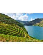 Dao Portugalia - Regiony Winiarskie - Sklep z Winem Bachus