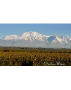 Agrelo Wina Argentyny - Regiony Winiarskie - Sklep z Winem Bachus