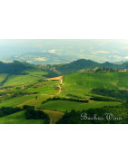 Emilia Romagna - Regiony Winiarskie - Sklep z Winem Bachus