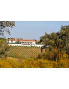 Alentejo Wina - Regiony Winiarskie - Sklep z Winem Bachus