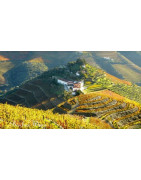 Douro Valley Wina Portugalskie - Regiony Winiarskie - Sklep z Winem Bachus