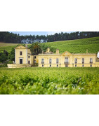 Lisboa Wina Portugalskie - Regiony Winiarskie - Sklep z Winem Bachus