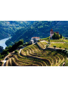 Tejo Wina Portugalii - Regiony Winiarskie - Sklep z Winem Bachus
