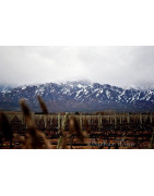 Uco Valley Uco Dolina Argentyna - Regiony Winiarskie - Sklep z Winem Bachus