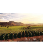 South Eastern Australia - Regiony Winiarskie - Sklep z Winem Bachus