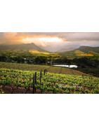 Western Cape Wina RPA - Regiony Winiarskie - Sklep z Winem Bachus