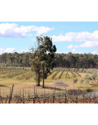 Beechworth Wina z Australii - Regiony Winiarskie - Sklep z Winem Bachus