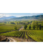 Montalcino Toskania